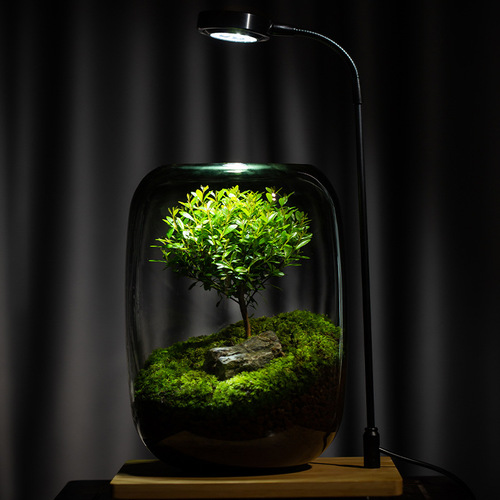 Creative desktop micro landscape vase DIY green plant ecological bottle moss lazy artificial landscape vase modern simple vase