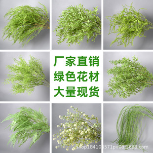 ��cɭϵ�Gɫ�����~�ӻ�c�Y�Ñ����Y·���b�����ٻ��Gֲ���l