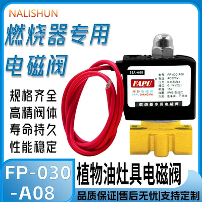 Vegetable Oil Methanol Liquid Wax Stove Stove Solenoid Valve Universal Anti-Leakage Oil Thread 2-Point Solenoid Valve