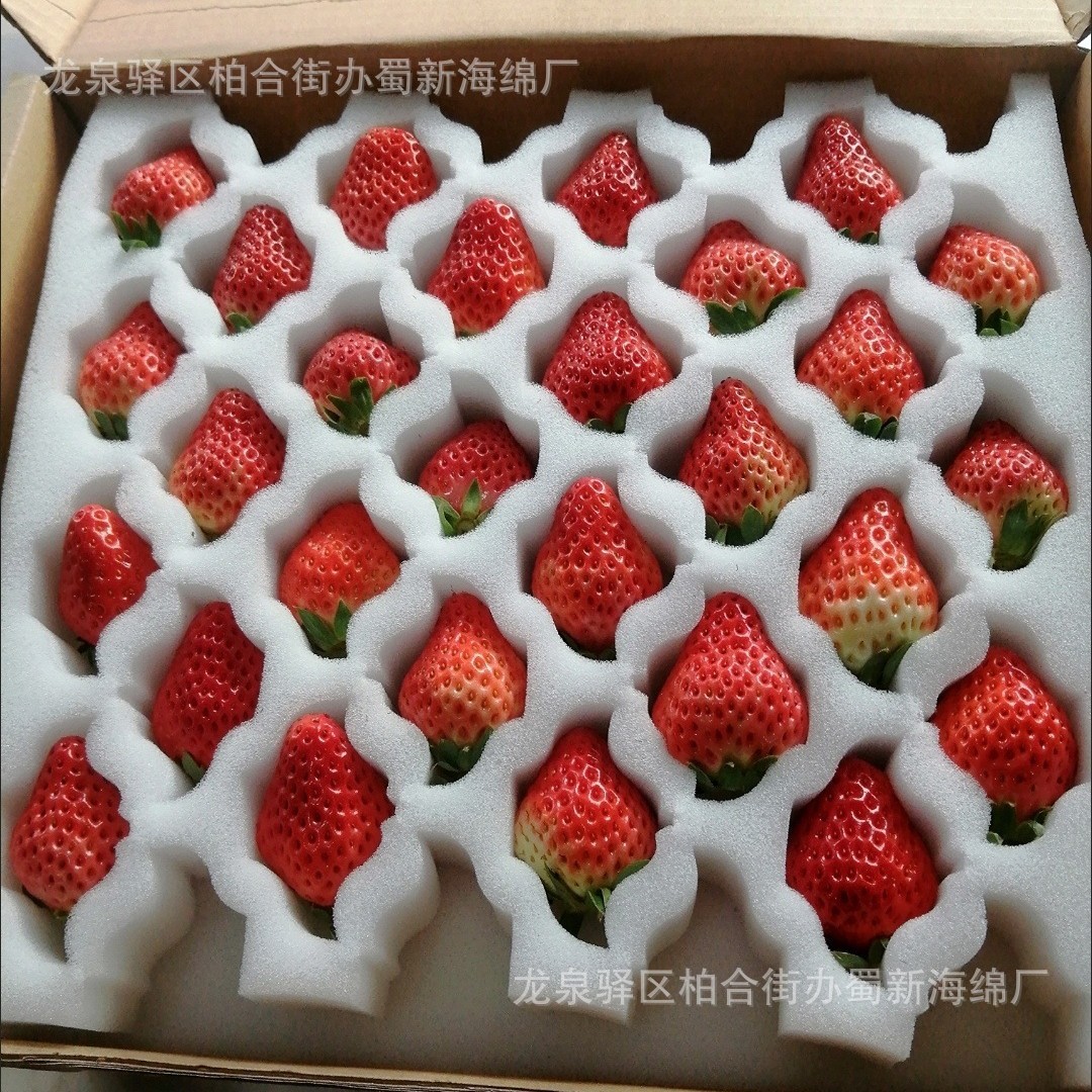 草莓海绵包装/周转草莓海绵包装/防震草莓海绵包装/缓冲草莓海绵