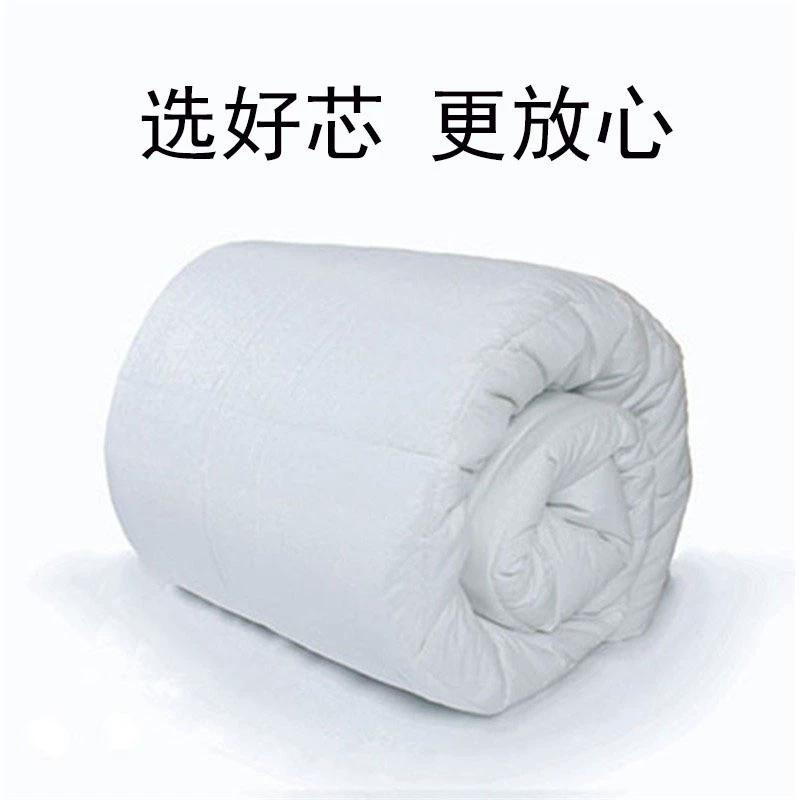 Hotel Quilt Core, Pure Cotton & Feather-Silk Fill, Multiple Weights 200–600 g/㎡, Various Sizes