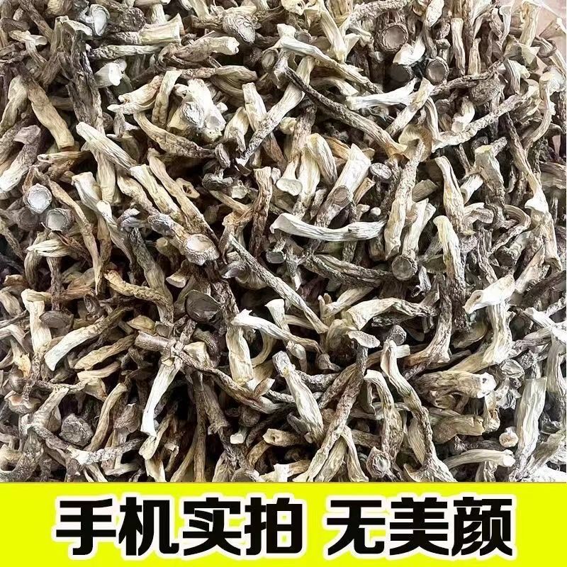 【无干燥剂】鹿茸菇干货新鲜特产鹿耳菇香菇菌菇虫煲汤炒菜|undefined