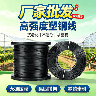 PET ��䓾� ������Ĥ��Ĥ�� ���@����Bֳ�W�����������S���l