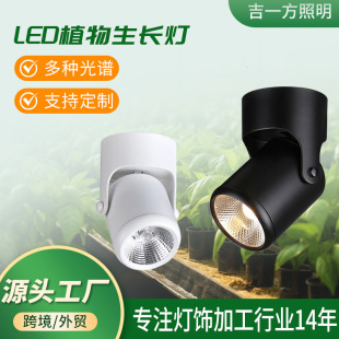 Plant Wall Full Spectrum Plant Fill Light Surface-Mounted Universal Adjustable Ceiling Light Indoor Flower and Green Plant Sunlight