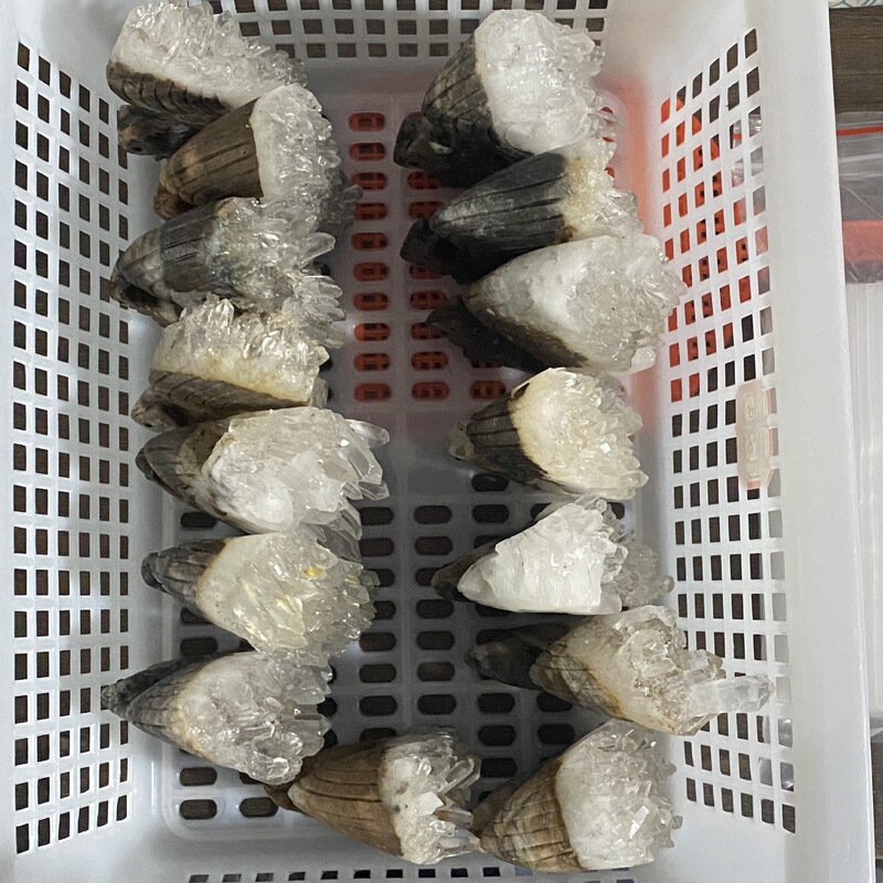 天然白水晶簇小松鼠手工雕刻件桌面摆件小摆件装饰摆件 图 4