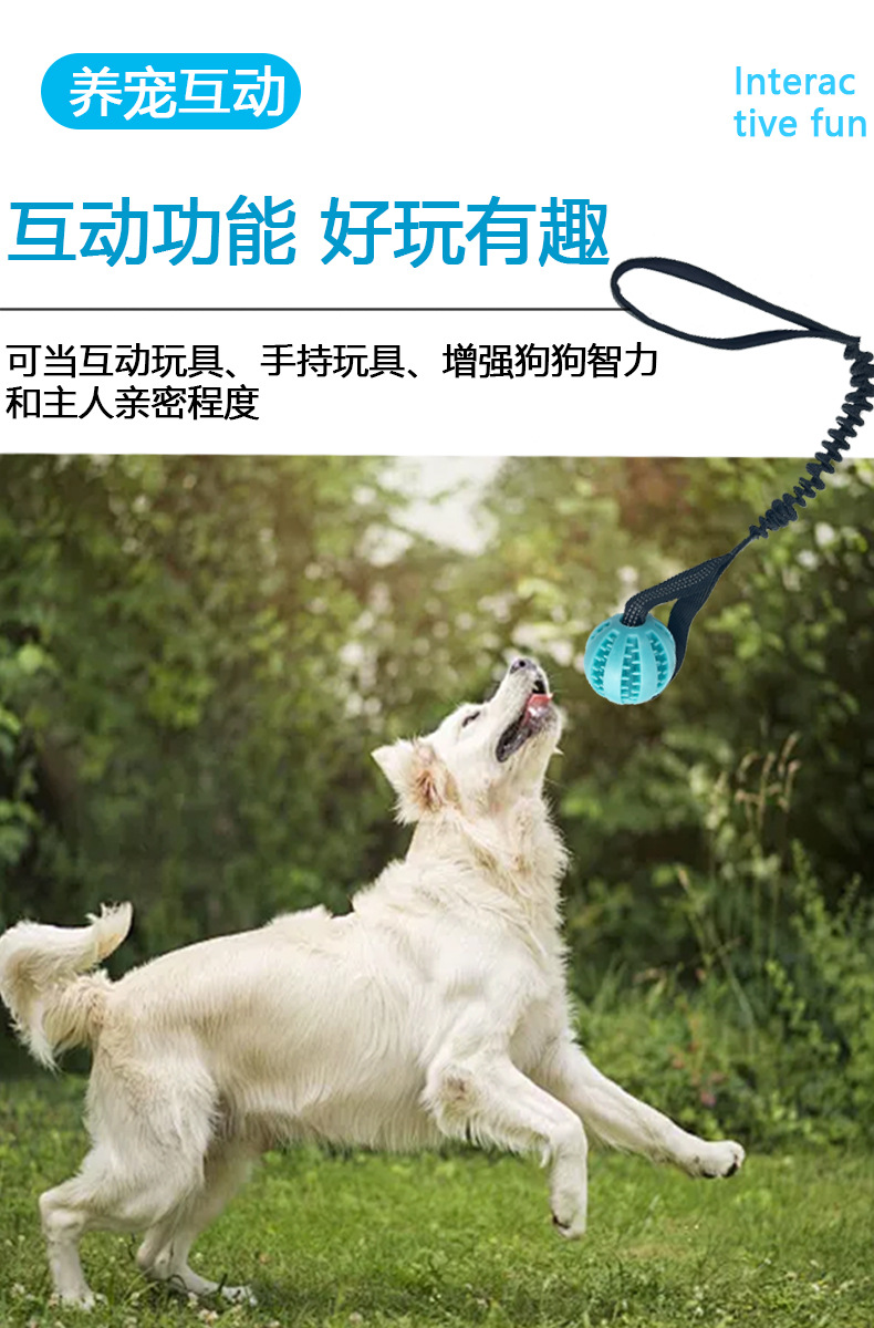 详情6.jpg