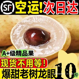 �������rʯ������������������r����ˮ���Fժ�l���A������S���]