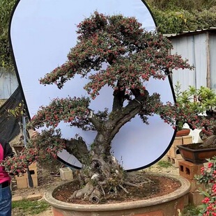 �Gֲ�辰����ˇ�g�辰�����F�R�޻��辰�Ϙ���Ʒ����