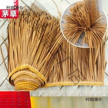 ����ȼ��������X�Ͻ����쵾��é�������b�ë�ݷ����������̫��