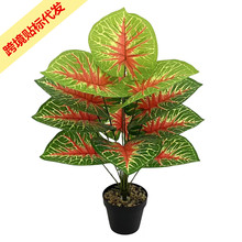 ����Gֲ���Ե�ˮ�^����ؾӼ��҃Ȳ���٘�[�O�b����Ҿ��辰