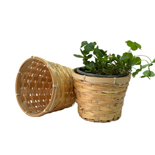 �¿���l���������С��@�廨�@�Y��ˮ�����b�@�ռ{����S�����l