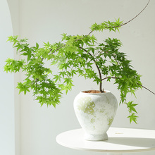 �S����Ȫ���������ֲ�����P�쾰�Gֲ�҃��k���ҿ͏d�����������l