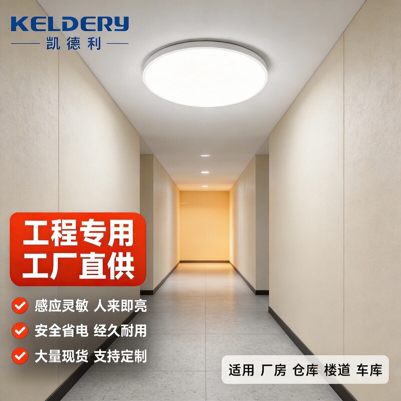 Ultra-Thin Three-Proof Human Sensor Led Ceiling Light for Corridors, Lights up When People Approach and Turns Off When They Leave, Dust-Proof and Insect-Proof Ultra-Thin Three-Proof Human Sensor Led Ceiling Light for Corridors, Lights up When People Approach and Turns Off When They Leave, Dust-Proof and Insect-Proof