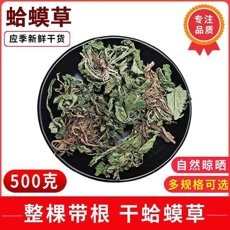 Dried Toad Herb Ha Ma Cao 蛤蟆草 Salvia plebeia Whole Herb 500g for Culinary Herbal Use quality and texture