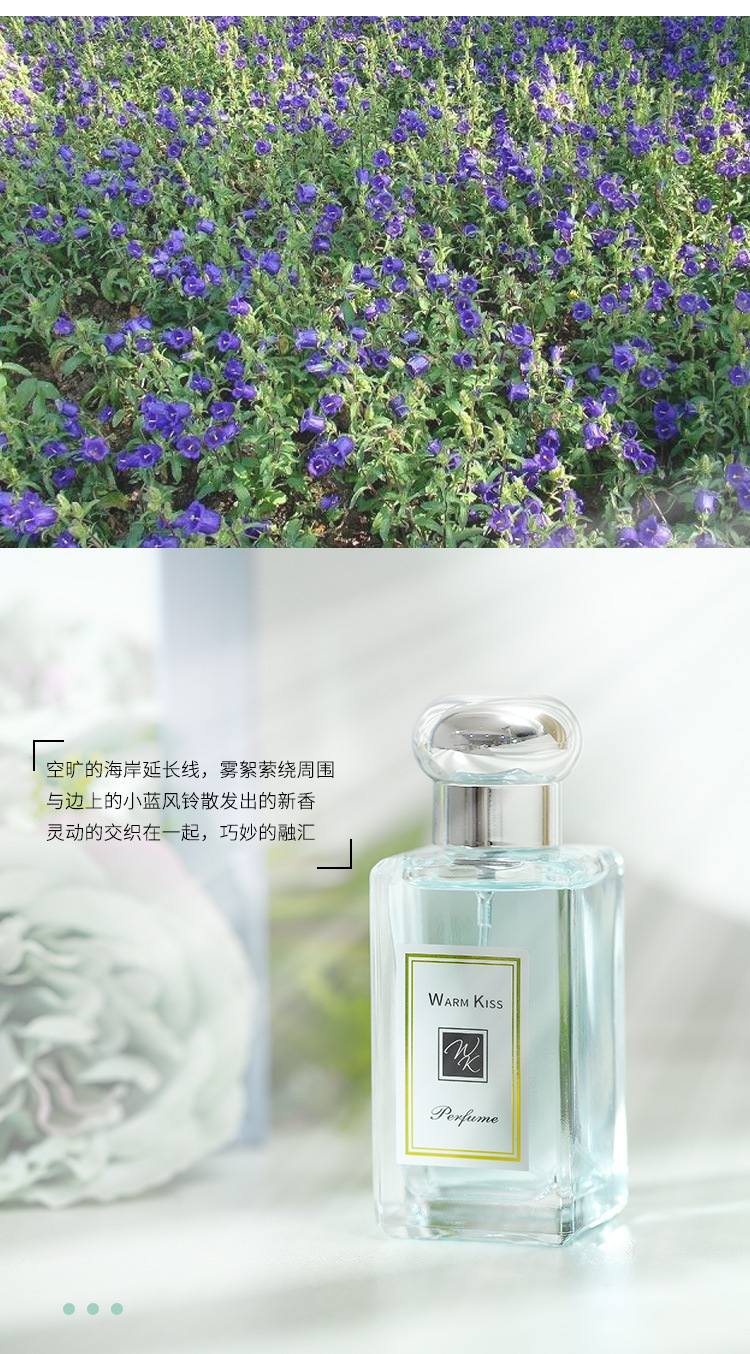 蓝风铃详情_09.jpg