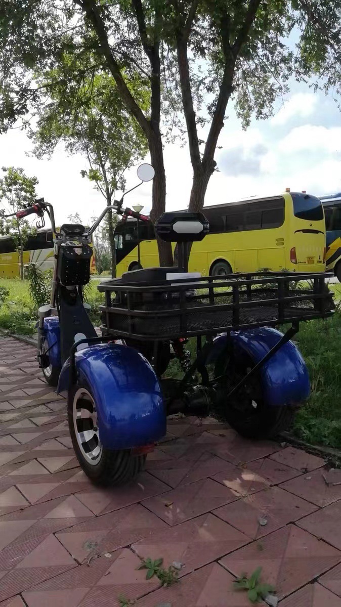 Cross-Border Harley Electric Tricycle with Wide Tires for Off-Road Use, Msds Lithium Electric Scooter, Two-Wheeled Adult Skateboard Scooter