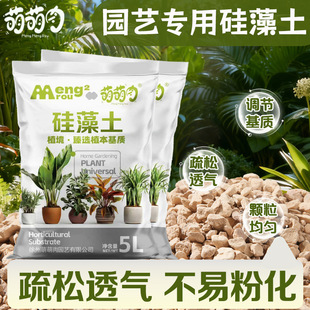 徐州萌萌肉园艺有限公司
