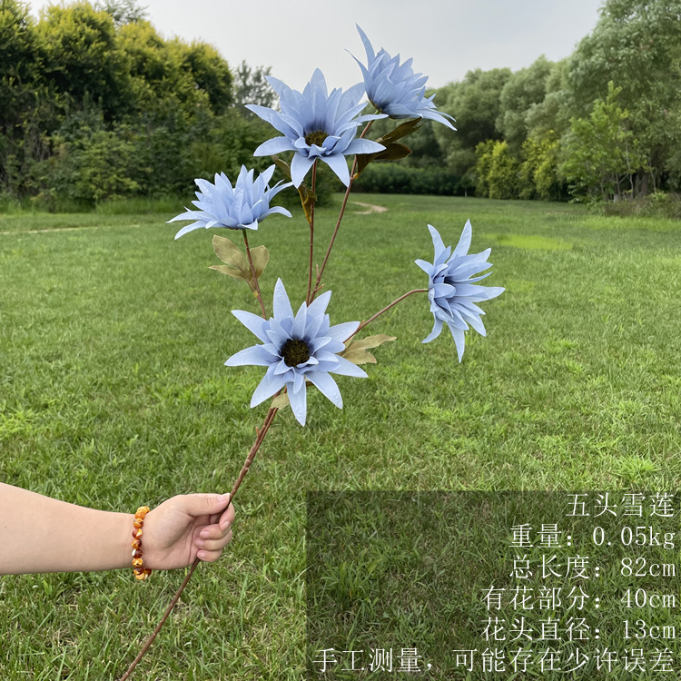 mmexport1628927330952_副本