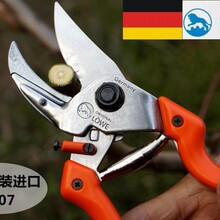 ��ԭ�b�M�ڪ{�Ƽ��� ��Ҏ����֦�@ˇ�F�軨֦�� �@����֦��