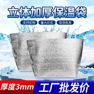 Manufactor three-dimensional aluminum foil Cooler bag fresh  Pizza fruit Cooler bag goods in stock Buddhism Court practical