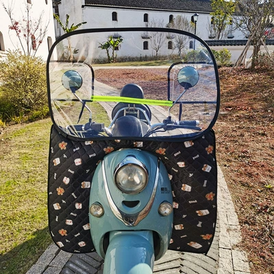 battery car front windshield – Motorcycle front windshield - deluxe-editionblack-detachable-below-xiaofei
