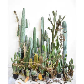 工厂批发大型仿真仙人掌 室内外绿植装饰盆栽假仙人柱仙人球