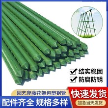 跨境爬藤架子植物支撑架豆角黄瓜架爬藤杆园艺包塑钢管植物爬藤架