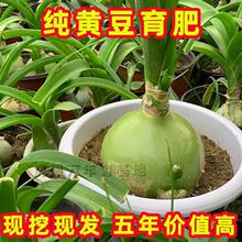 �����f����N������ɷ۸��~�|�����������Ժ��[�L��ɽ��ș��ʳ��