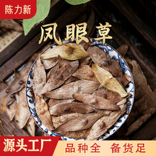 �P�۲� ���v���v ���v�P���Ӵ���� �a��؛Դ ���N�䱳