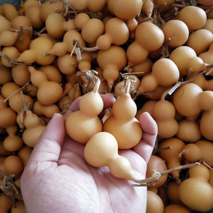 Liaocheng Gourd Pendant Ornament Hand-Held Toy Small Gourd Floating