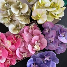 �P��ϲ�Ǻк����m�仨�^�ػ����ֶY�������^ٻ�diy