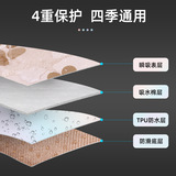 Подушки мочи домашних животных можно промыть и использовать повторно, моча, надежные подгузники для собак, поезда собачьи подгузники, моча не влажная