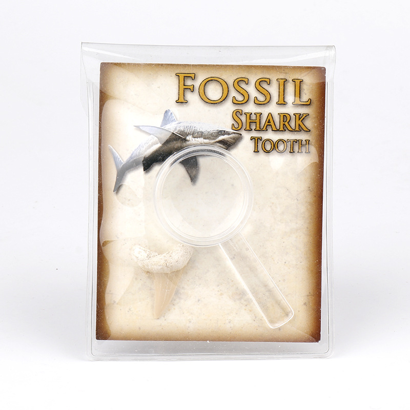 넓은 치아 (가방 크기 9*7cm)