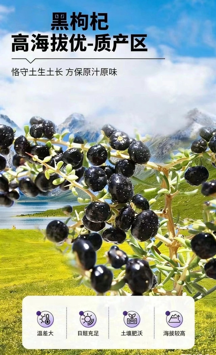 Dried Black Goji Berries Hei Gou Qi Zi Natural Sun Dried Hand Selected Clean No Sand 500g overview