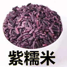 新鲜紫米紫糯米250克-500克产地直供应季新货颗粒饱满搭配杂粮粥