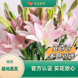 鲜切花;鲜花花艺制品;手捧花