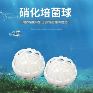 �~���^�V�������^�V���L�����D�����򷭝L�V���^�V��������ˮħ��