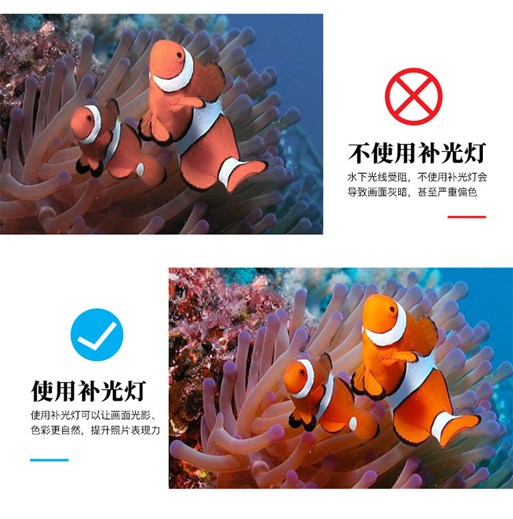 101详情图片 (9).jpg