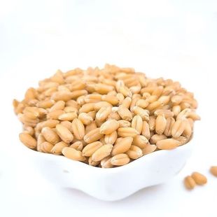 ��ƤС����ι����С��ᄾ����ӼZʳ���|