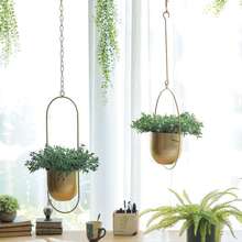 �����Fˇ����ˮ��ֲ�ﻨ�����е���̨�Wʽ���@�b���