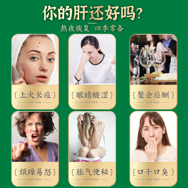 桂花菊決明子茶州養生茶メーカー南京同仁堂独立包装菊決明子茶|undefined