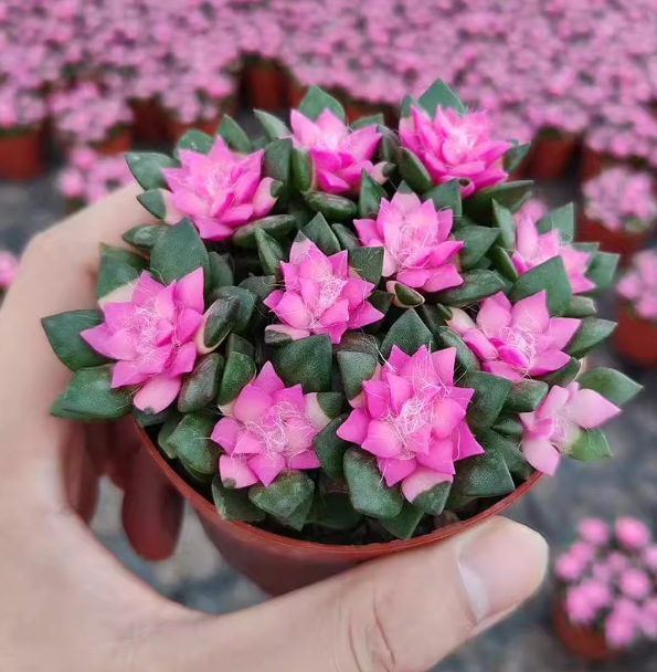 직경 9cm 세면대