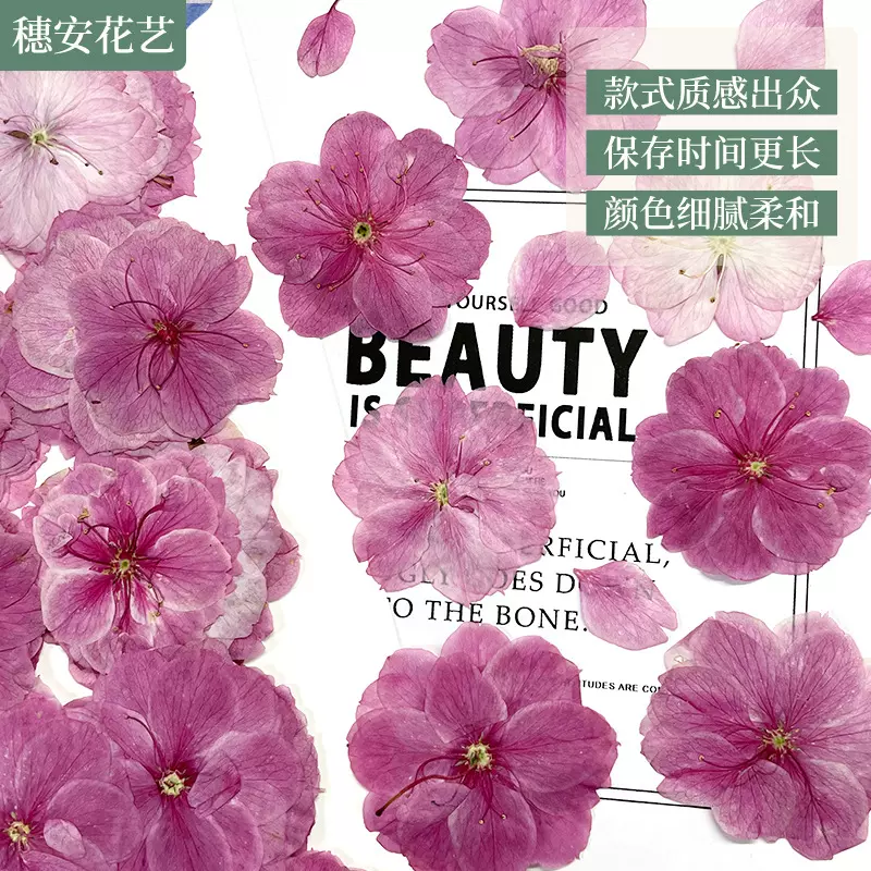 跨境干花压花粉色真花大樱花手账滴胶饰品贴花化妆果冻蜡烛押花画