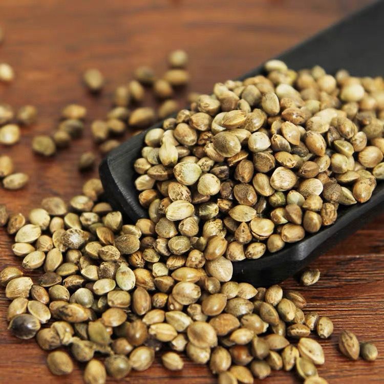 Huo Ma Ren Dried Hemp Seeds 500g Traditional Chinese Herb Huo Ma Zi Edible Seeds key features
