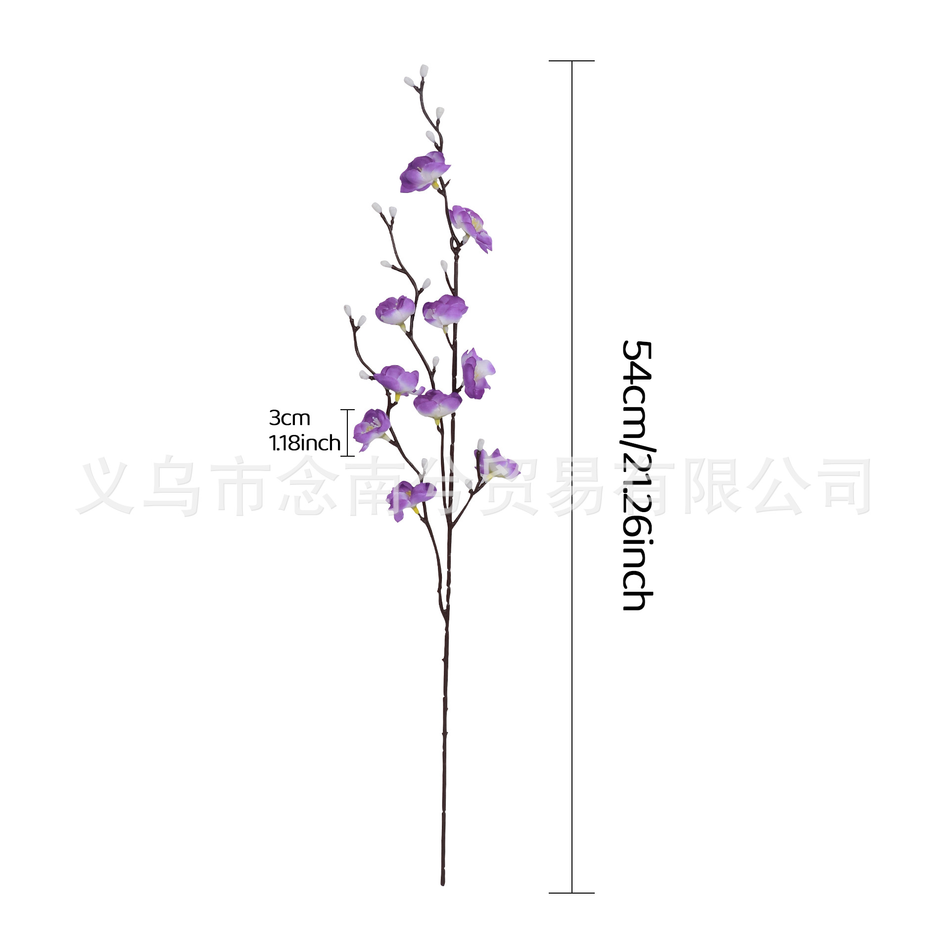 Purple white