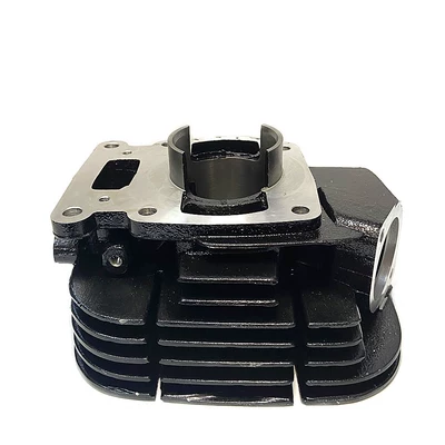 Cylinder and parts cylinder for Suzuki TS