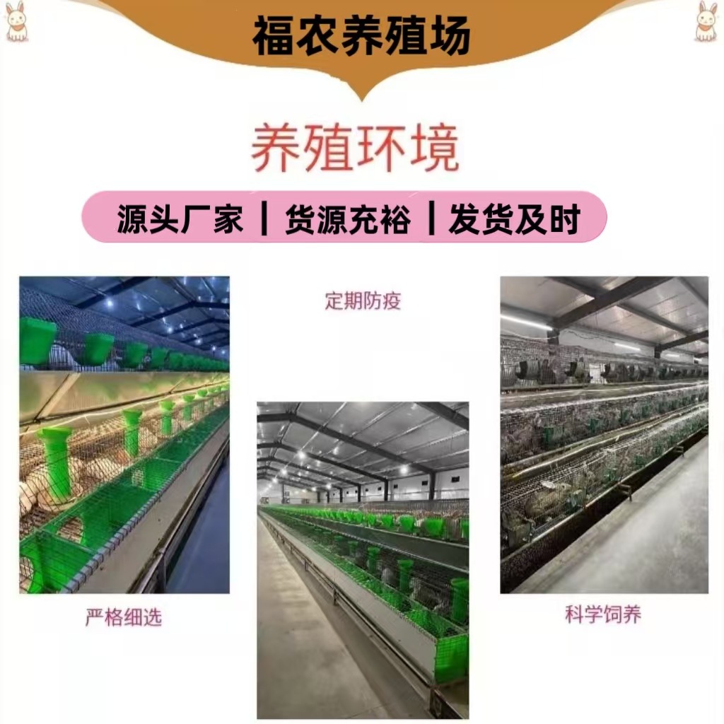 微信图片_20250311212352