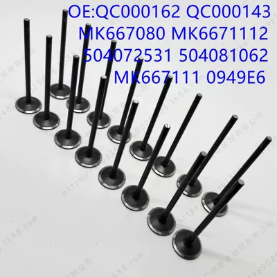 Suitable for MITSUBISHI FUSO 4P10 Valve QC000162 / QC000143