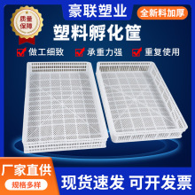 �S�����l���Ϸ������u���Z�ݵ��бP���D�\ݔ���L���ο��������D��