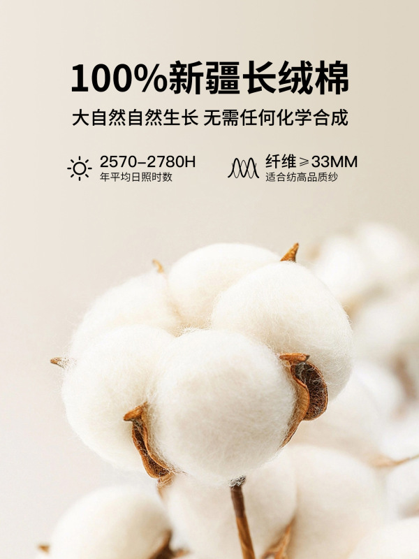 纯棉磨毛男士衬衫长袖春秋棉衬衣男2025新款中年抗皱商务休闲男装|undefined